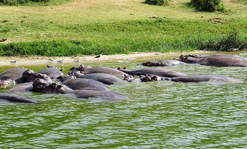 KAZINGA CHANNEL